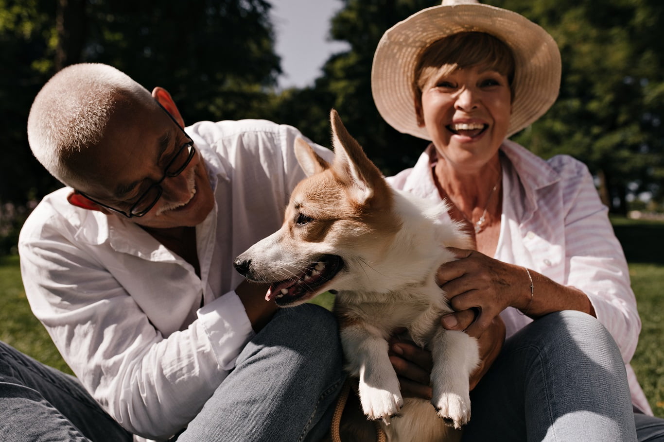 The Positive Impact of Pets on the Lives of Older Adults