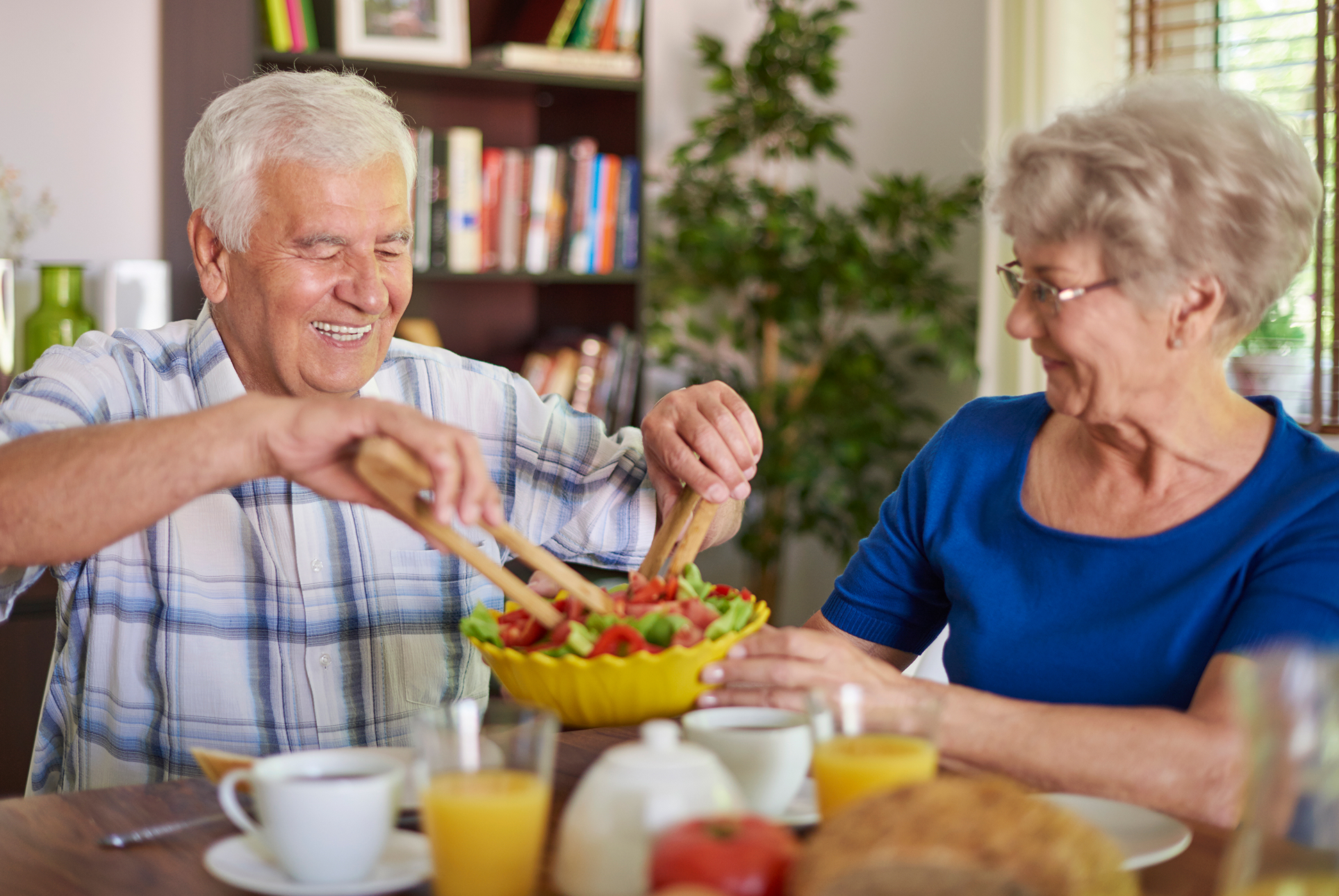- nutrición de ancianos en el hogar - senior nutrition at home what they really need - home care concepts - personal care